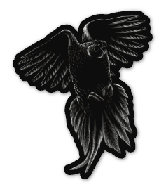 Ring-Necked Pheasant Sticker